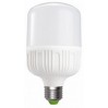 Светодиодная лампа Ecostrum IP20, 6500К, E27 20W (T80-20W)