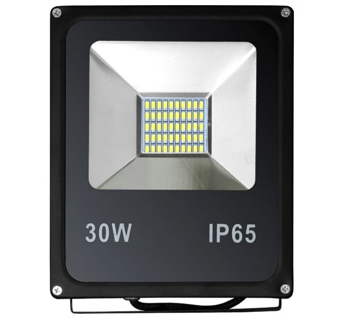 Прожектор Ecostrum UA-Standart Черный 30W IP65 (UA-STD30W)