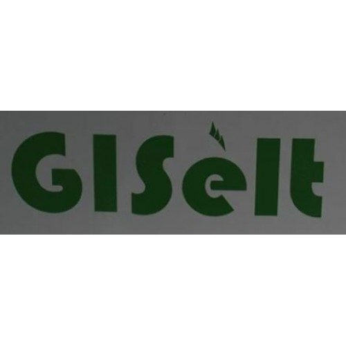 Розетки выключатели GiSelt
