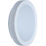 Светодиодный светильник SMART Arena Violux 40W (VL-210143) круг